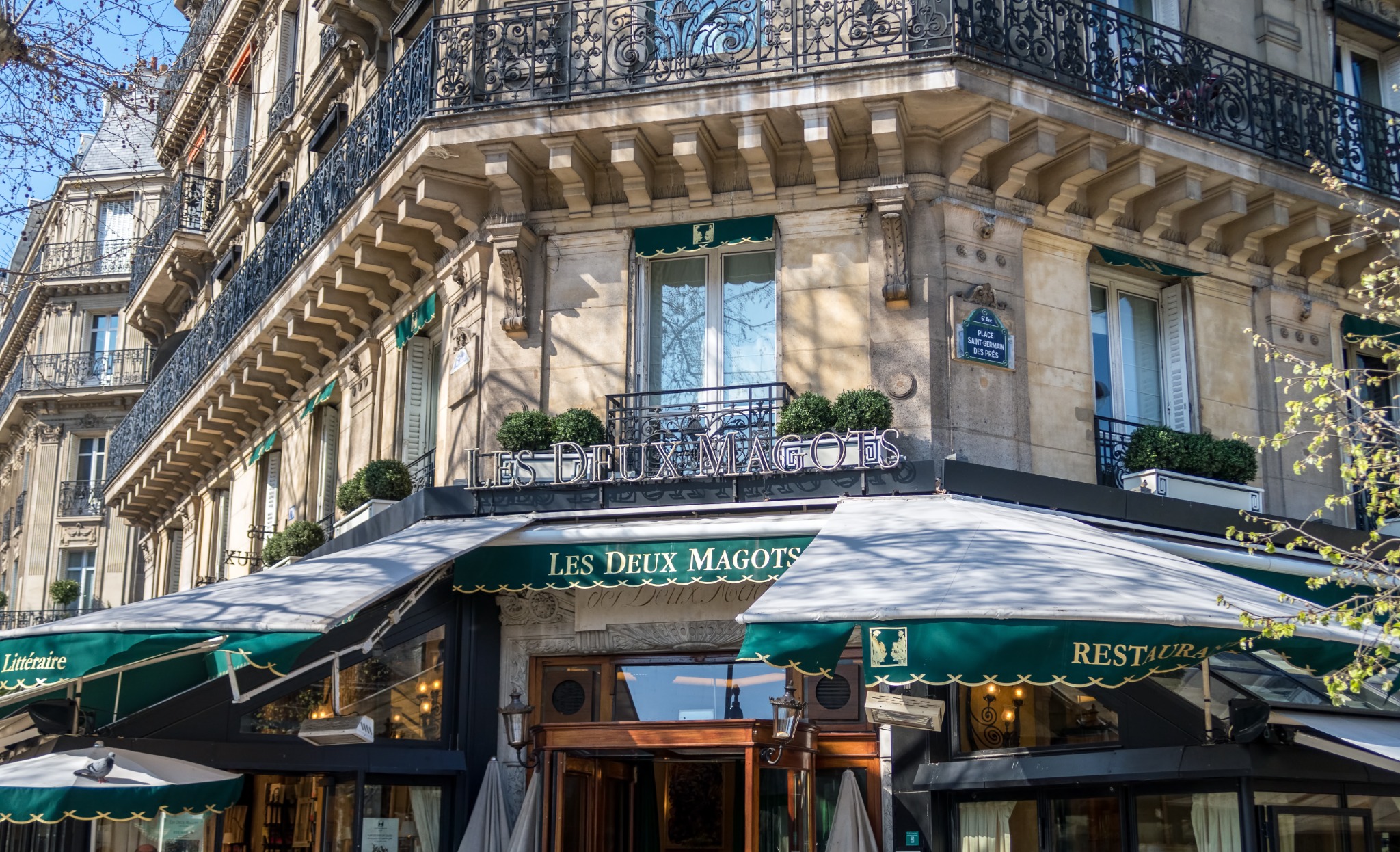Gestion locative immobilière